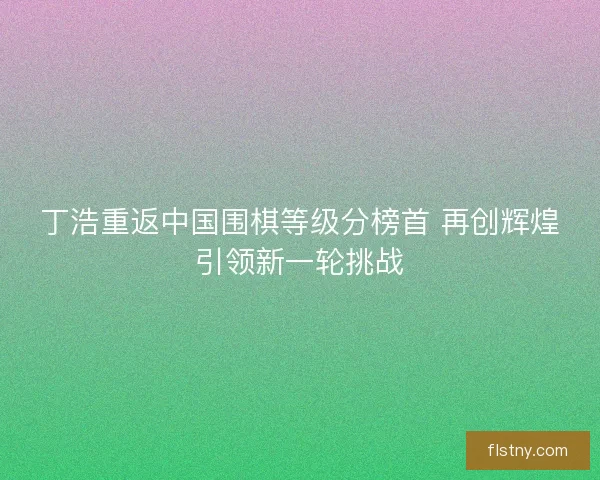 丁浩重返中国围棋等级分榜首 再创辉煌引领新一轮挑战