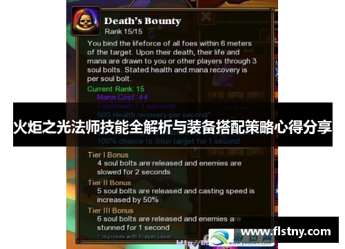 火炬之光法师技能全解析与装备搭配策略心得分享