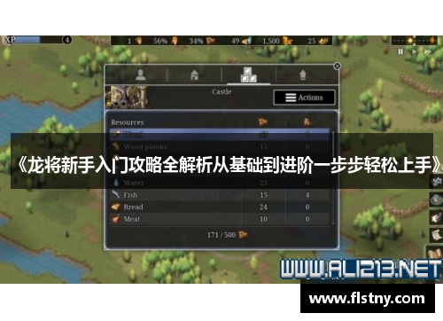 《龙将新手入门攻略全解析从基础到进阶一步步轻松上手》